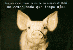 20070918003203-postal-cerdo.gif